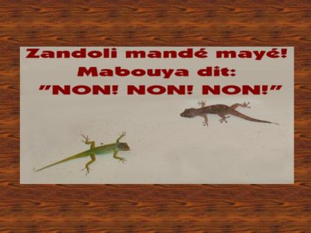  Zandoli mandé mayé!------->p1                     